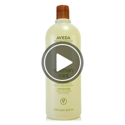 AVEDA 專櫃髮品 結帳享85折