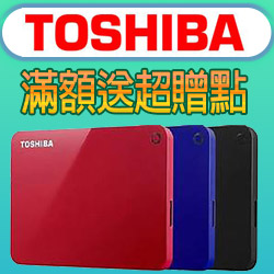 TOSHIBA東芝月