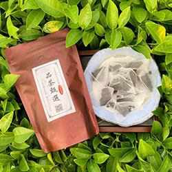 陳年老茶 原片三角立體茶包