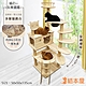 貓本屋 雙太空艙旋轉樓梯加厚木紋多層貓跳台(135cm) product thumbnail 2