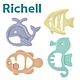 日本《Richell-利其爾》固齒器 product thumbnail 1