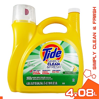 美國 TIDE 清新柑橘 強效 洗衣精