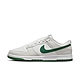 NIKE DUNK LOW RETRO 男休閒運動鞋-白灰綠-DV0831107 product thumbnail 1