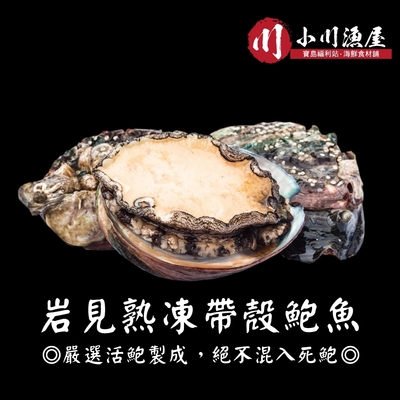 【小川漁屋】熟凍帶殼鮑魚3包（300g±10%/包8~11顆)