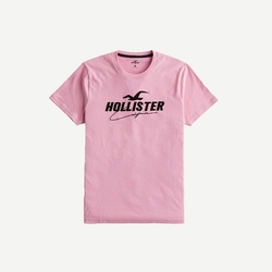 Hollister 海鷗 熱銷刺繡大海鷗文字短袖T恤-粉色