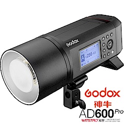 GODOX 神牛 AD600 Pro 600W TTL 鋰電池一體式外拍燈 (公司貨)