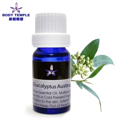 Body Temple澳洲尤加利Eucalyptus australiana精油10ml