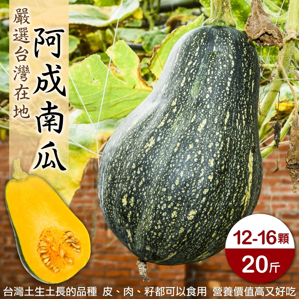 【果農直配】嚴選台灣阿成南瓜20斤(約12-16顆)