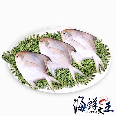 【海鮮大王】巴掌小白鯧x10隻組(150g±10%/隻) (無去腮去肚)