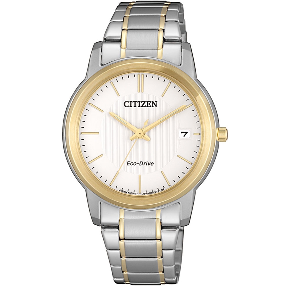 CITIZEN 星辰PAIR 對錶系列雙金腕錶-33mm(FE6016-88A)