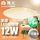 舞光 1-2坪 12W星鑽 LED吸頂燈(白光/黃光) product thumbnail 4