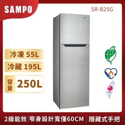 SAMPO聲寶 250公升定頻雙門電冰箱SR-B25G經典品味