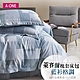 A-ONE 萊賽爾纖維 床包枕套組 單人/雙人/加大-台灣製(多款任選) product thumbnail 11