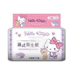 Hello Kitty 凱蒂貓 濕式衛生紙 40 抽 X 18 包 家庭號組合包 可安心丟馬桶 弱酸性配方適合特殊護理