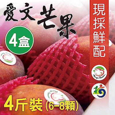 Mango House 枋山愛文芒果 4斤x4盒(6~8顆/盒) 輸日等級蘋果檨