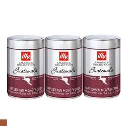 illy 瓜地馬拉風味 咖啡豆 (250g/罐) 3入組