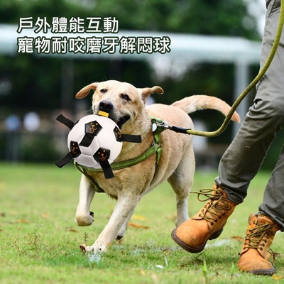 【AFAMIC 艾法】戶外體能互動繩子訓練寵物耐咬磨牙解悶球(彈力球 足球 貓狗 運動 玩具)