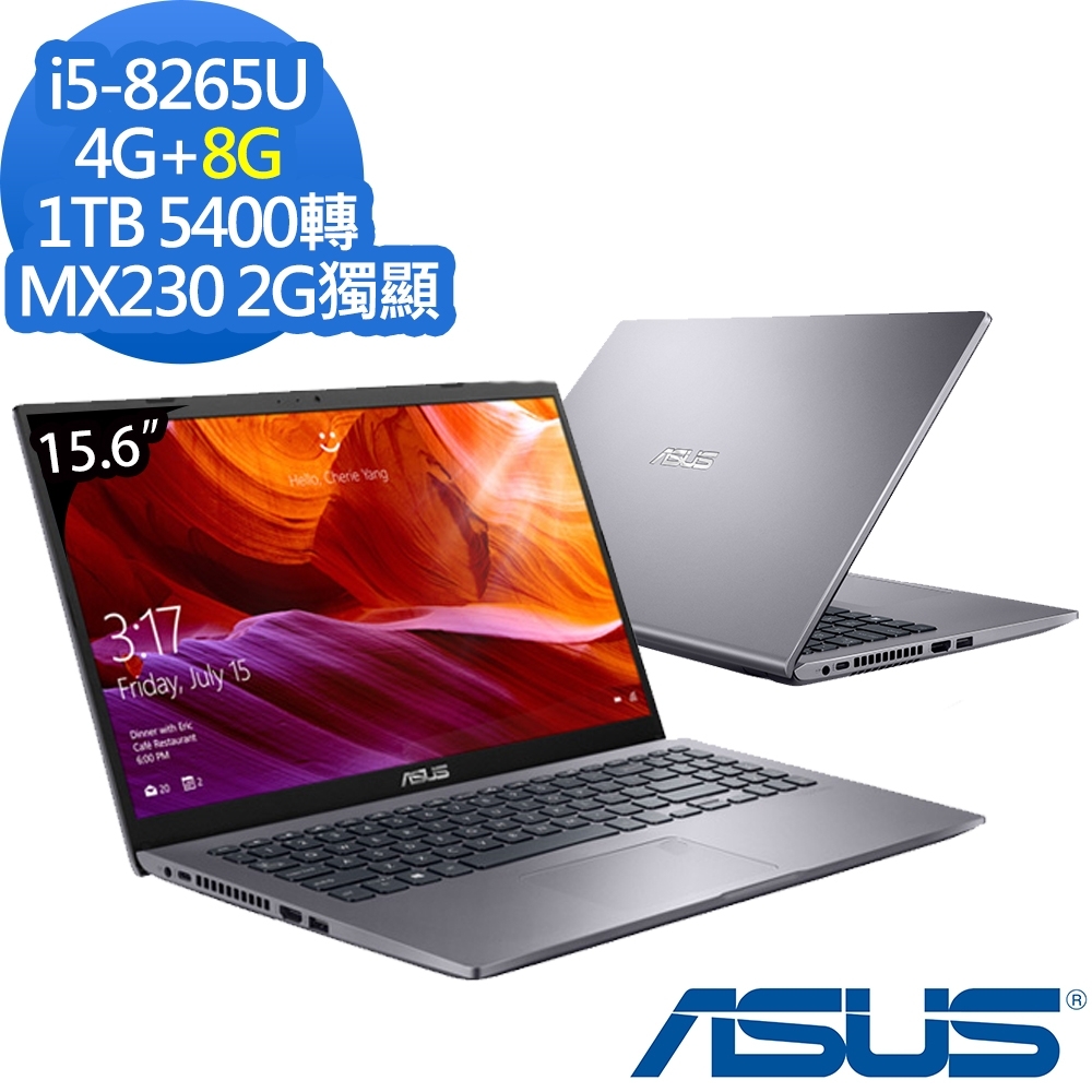 ASUS X509FJ 15吋筆電 i5-8265U/4G+8G/1TB/MX230特效能筆電