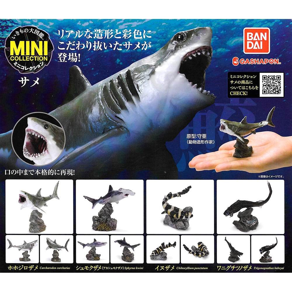 全套4款 日本正版 生物大圖鑑 鯊魚篇 扭蛋 轉蛋 深海鯊魚 獵捕者 動物模型 BANDAI 萬代 - 939092