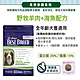 BESTBREED貝斯比 珍饌犬糧系列 1.8kg【新包裝】 product thumbnail 4