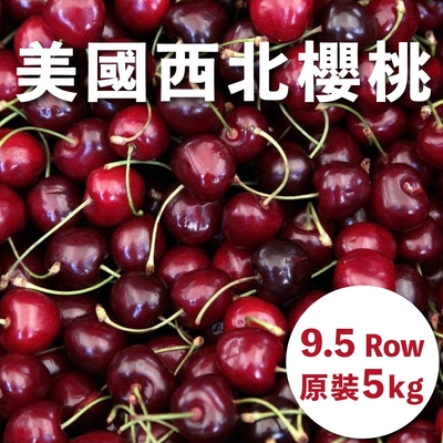 水果狼 美國西北鮮採櫻桃9.5R 5KG 原裝箱