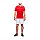 Asics [2041A086-600] 男 網球衣 上衣 短袖 POLO衫 吸濕 排汗 透氣 運動 訓練 亞瑟士 紅 product thumbnail 1