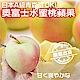 【果之蔬】日本青森TOKI水蜜桃蘋果(每箱4.5kg/約20-23顆) x2箱 product thumbnail 1