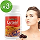 Healthy Life加力活葉黃素複方膠囊(30顆*3瓶)｜Lutein30mg product thumbnail 1