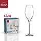 【RONA】斯洛伐克SWAN天鵝系列 香檳杯320ml-6入組 product thumbnail 2