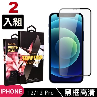 IPhone 12 PRO 12 高品質9D玻璃鋼化膜黑邊透明保護貼(2入組-12保護貼12PRO保護貼12鋼化膜12PRO鋼化膜)