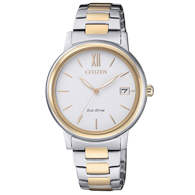 CITIZEN 星辰光動能簡約時尚手錶FE6094-84A-半金/34mm