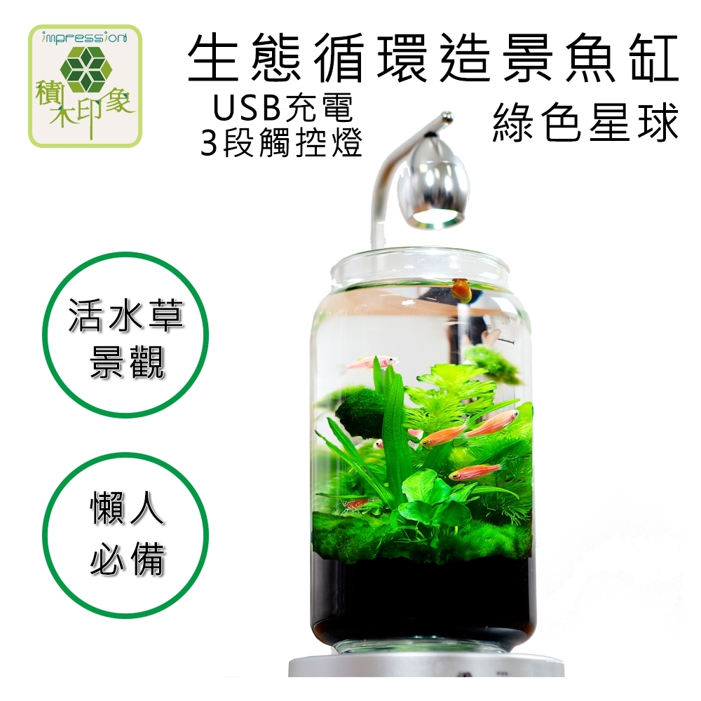 積木印象 活水草生態紓壓懶人魚缸 生態瓶造景系列 (綠色星球 USB充電式三段觸控燈款)