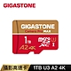 GIGASTONE Camera Pro microSDXC UHS-I U3 A2V30 1TB攝影高速記憶卡 product thumbnail 1
