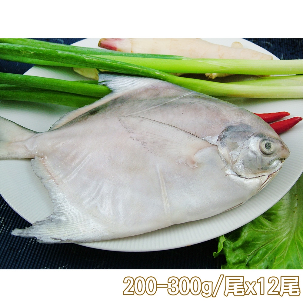 新鮮市集 鮮嫩富貴白鯧魚12尾(200-300g/尾)