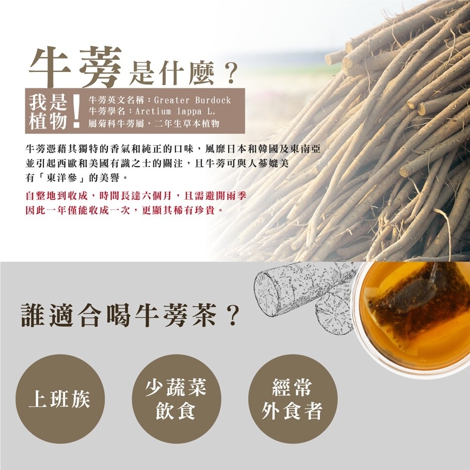 青玉牛蒡茶湧湶滿紅棗 甘草牛蒡茶包 6gx入 盒 其他養生沖泡飲品 Yahoo奇摩購物中心