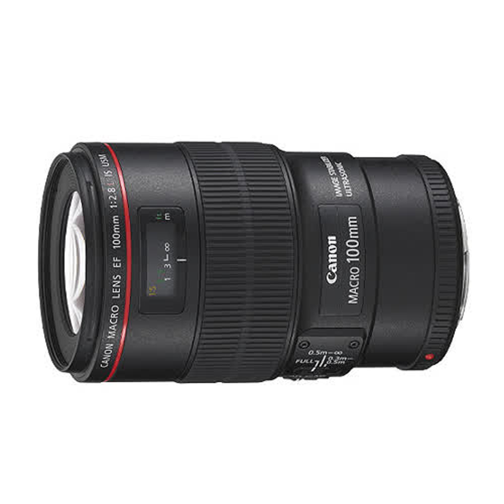 □ 美品 早い者勝ち EF 100mm F2.8 Macro USM-