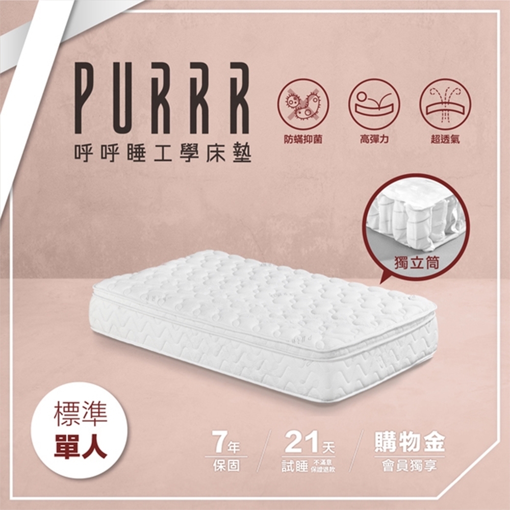 PURRR呼呼睡 | 獨立筒床墊 甜甜圈系列-標準單人