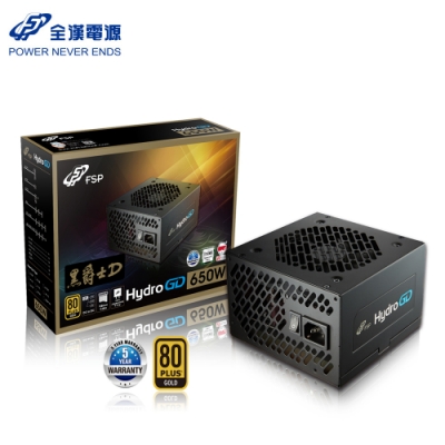 FSP 全漢 HGD650 黑爵士D 650W 80Plus 金牌 電源供應器