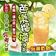 【和春堂】 全台首創復刻芭樂檸檬冰茶 300gx5包 product thumbnail 1