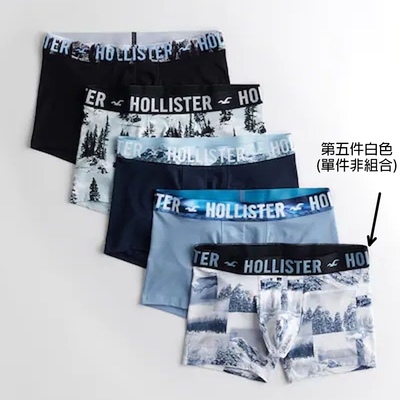 Hollister Co. HCO Hollister 男性內褲 單件 白色 2242