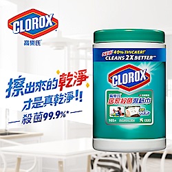 美國CLOROX 高樂氏 居家清潔殺菌濕紙巾