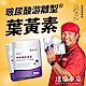 【達摩本草】玻尿酸游離型葉黃素膠囊(30顆/包，5包入) product thumbnail 1