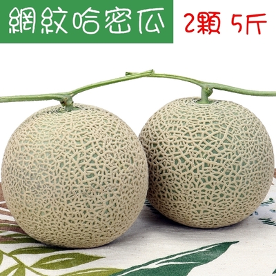 愛蜜果 台灣網紋哈密瓜2入禮盒 約5斤/盒 (阿露斯/日本品種)