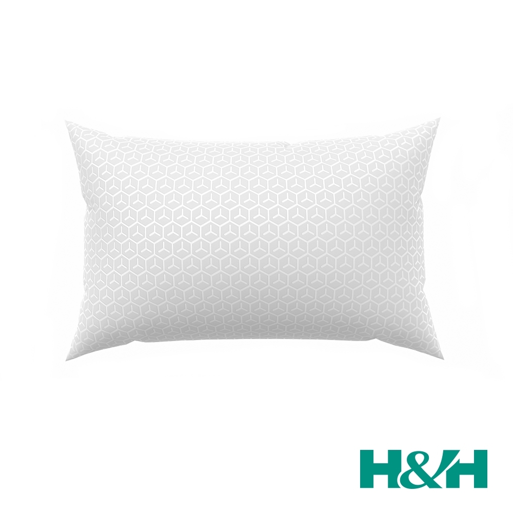 H&H南良防水防螨透氣保潔枕套(2pc)