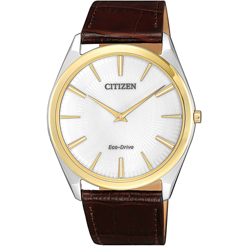 CITIZEN星辰 光動能 內斂薄型設計腕錶(AR3074-03A)-銀x金框/39mm