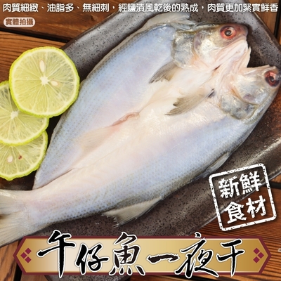【海陸管家】台灣午仔魚一夜干8尾(每尾150-200g)