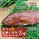 築地一番鮮-海底紅金-峇里島-大尺寸野生紅鰷石斑魚8條(550g±50g/條) product thumbnail 1