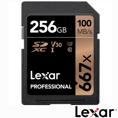 LEXAR 雷克沙 SD SDXC 256GB 667X 高速卡 (公司貨)