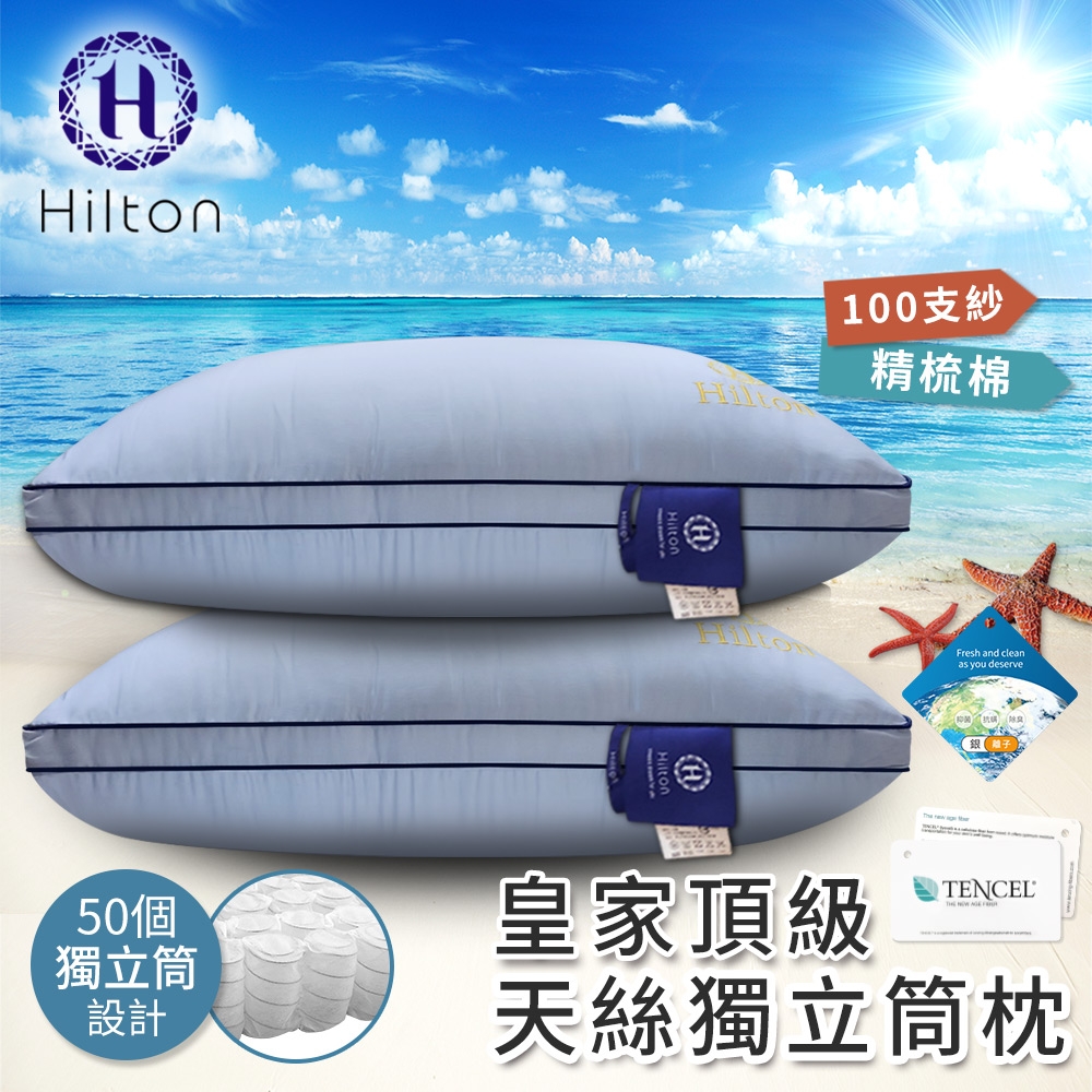 【Hilton 希爾頓】皇家頂級100支紗天絲獨立筒枕 藍/灰 兩入組(B0122)