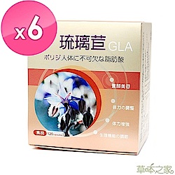 草本之家-琉璃苣油軟膠囊120粒X6盒